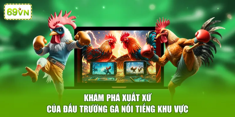 Khám phá xuất xứ của đấu trường gà nổi tiếng khu vực