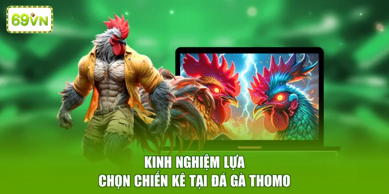 Kinh nghiệm lựa chọn chiến kê tại đá gà thomo